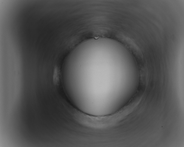 X0000102800038200808251058