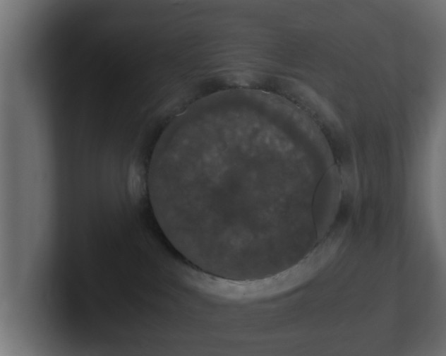 X0000102800043200808251058