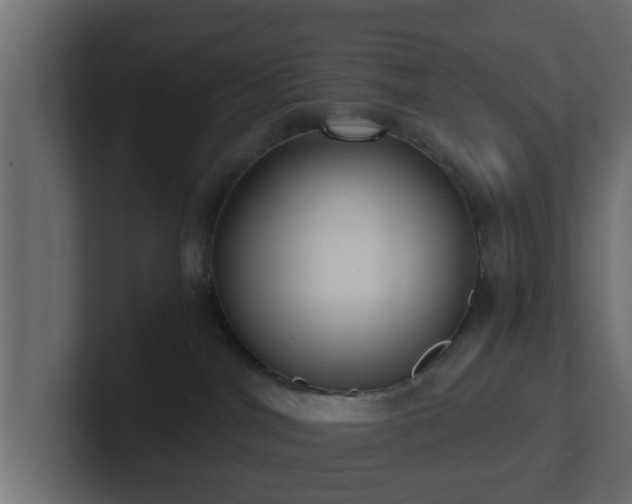 X0000102800044200808251057