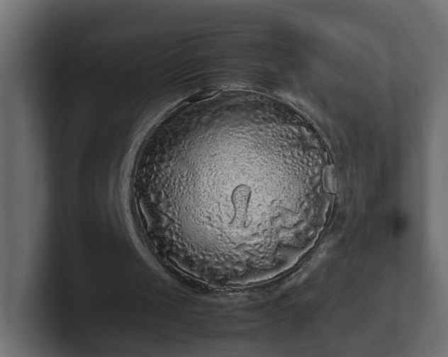 X0000102800049200808251057