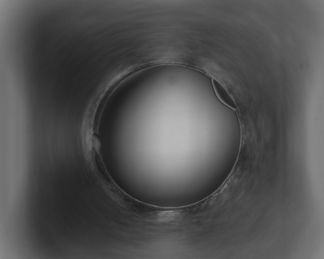 X0000102800050200808251057