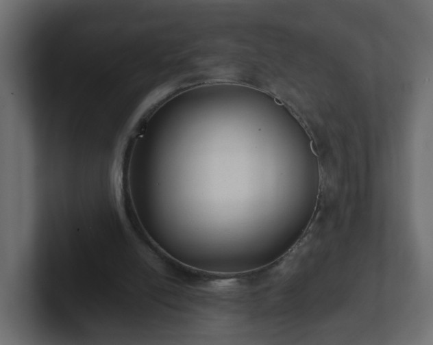 X0000102800054200808251057