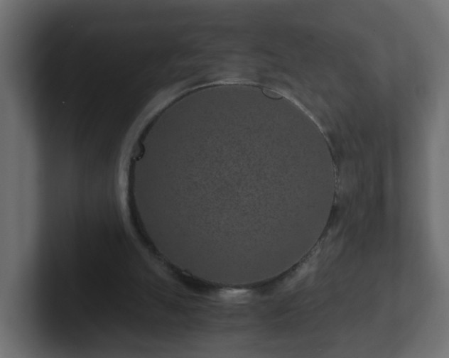 X0000102800055200808251057