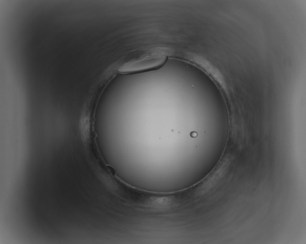 X0000102800057200808251057