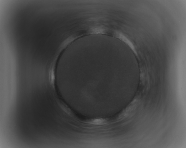 X0000102800059200808251057