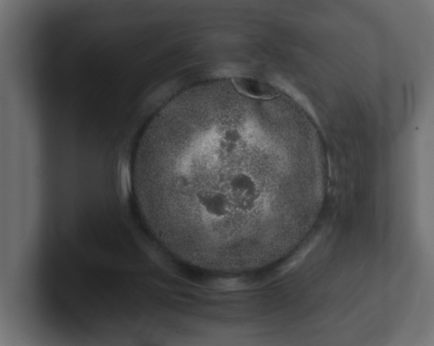 X0000102800061200808251057