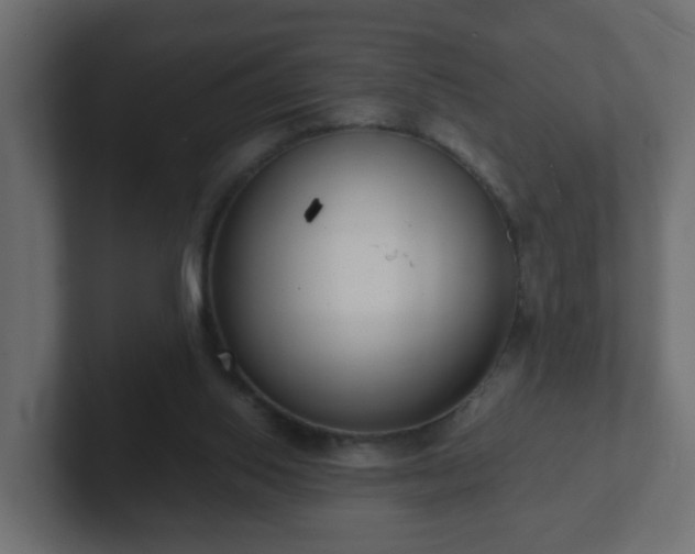 X0000102800062200808251057