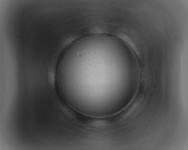 X0000102800063200808251057