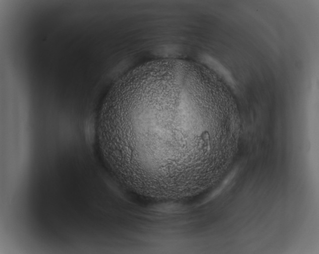 X0000102800065200808251057