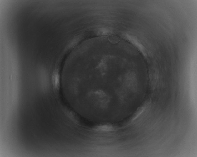 X0000102800067200808251057