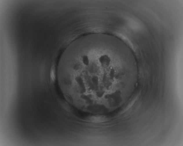 X0000102800069200808251057