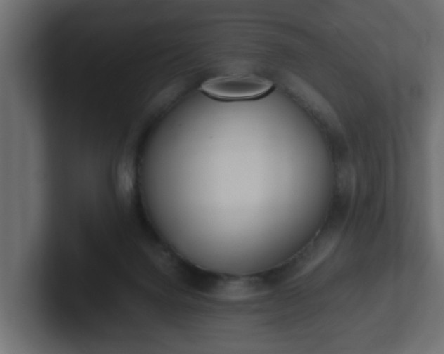 X0000102800072200808251057