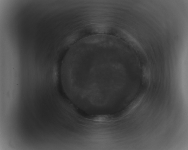 X0000102800080200808251057