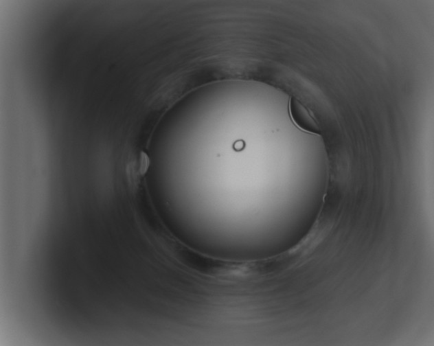 X0000102800086200808251057