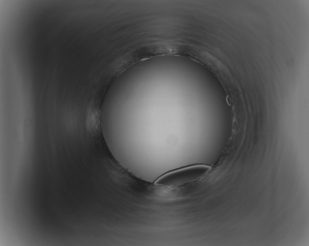 X0000102800096200808251057