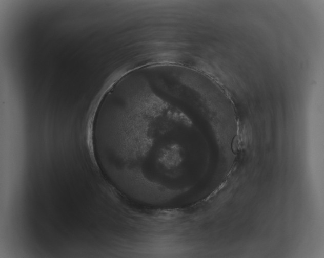 X0000102800099200808251057