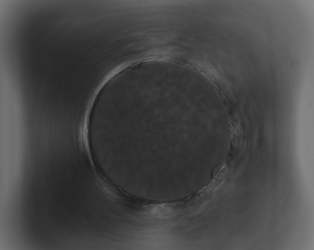 X0000102800100200808251057