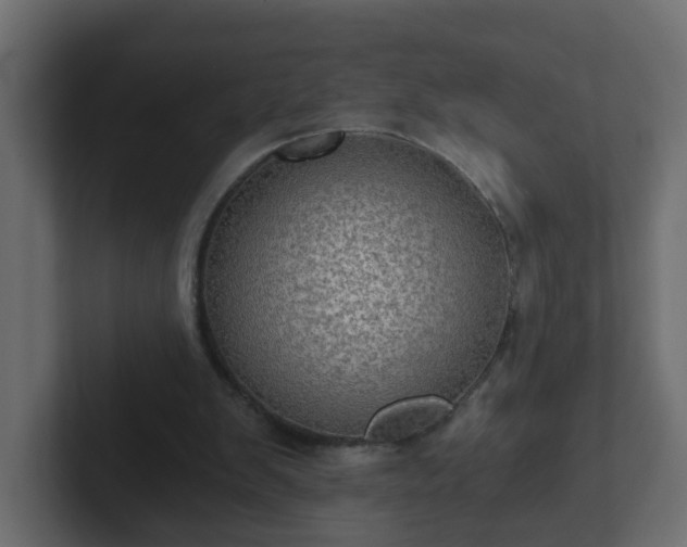 X0000102800103200808251057