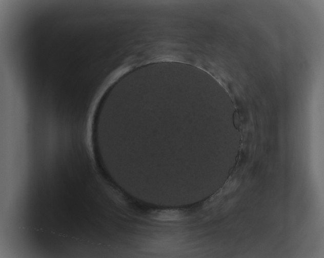 X0000102800104200808251057