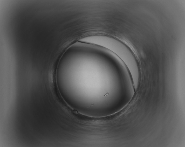 X0000102800105200808251057