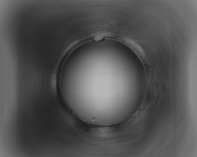 X0000102800108200808251057