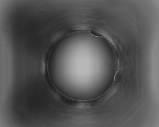 X0000102800109200808251057