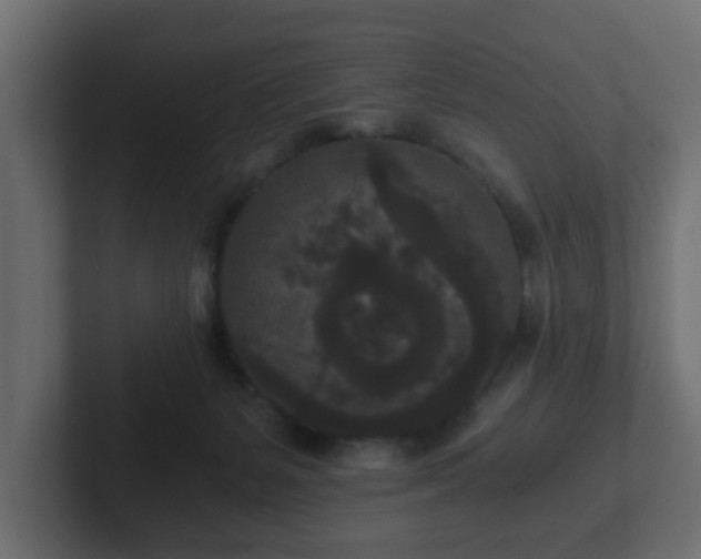 X0000102800127200808251056