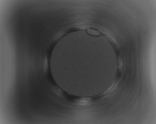 X0000102800128200808251056