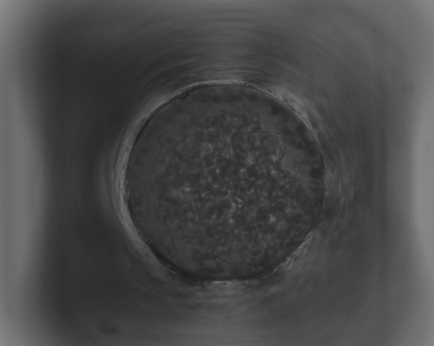 X0000102800145200808251056