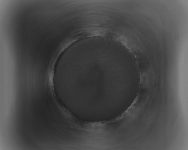 X0000102800146200808251056