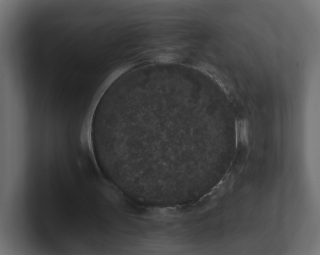 X0000102800147200808251056