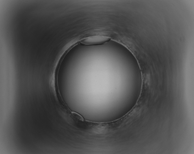 X0000102800148200808251056