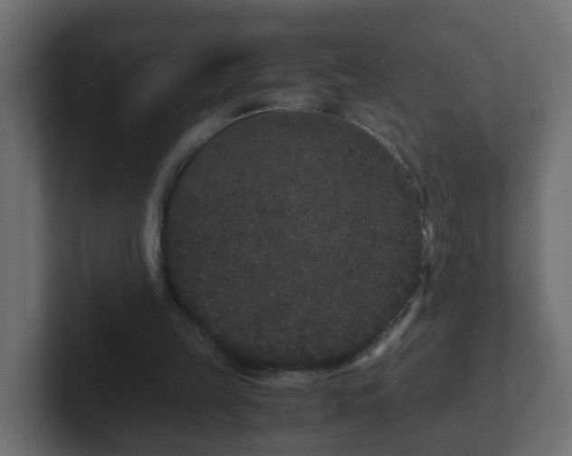 X0000102800149200808251056