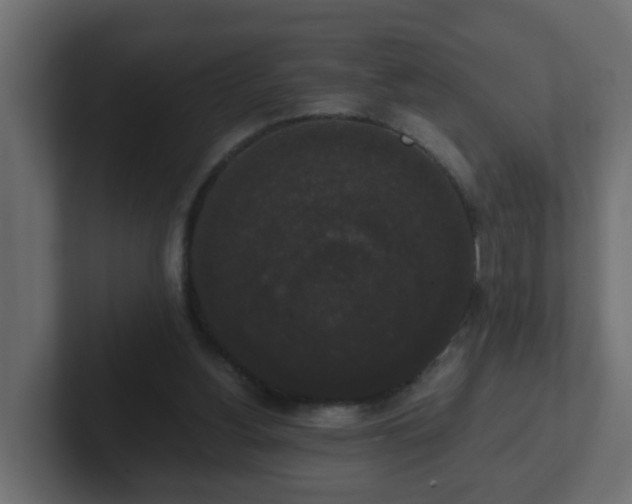 X0000102800156200808251056