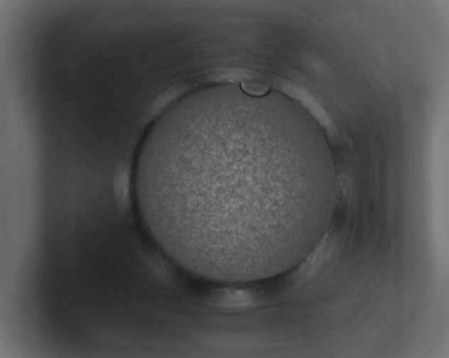 X0000102800159200808251056