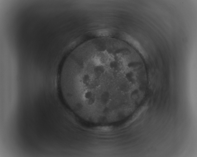 X0000102800161200808251056