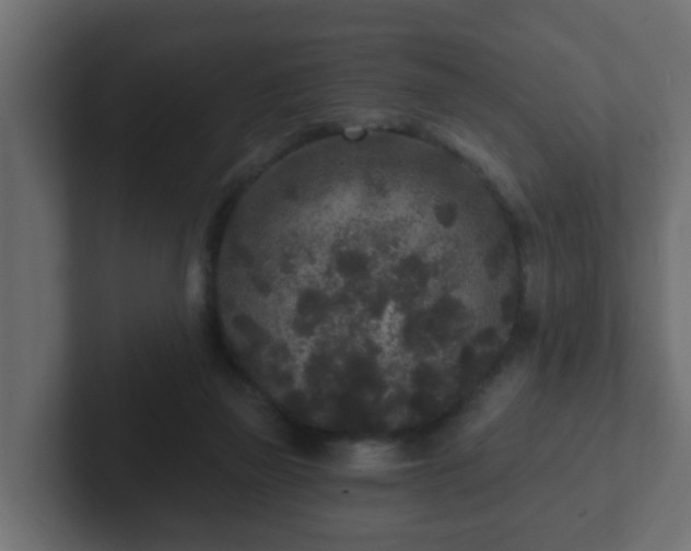 X0000102800165200808251056