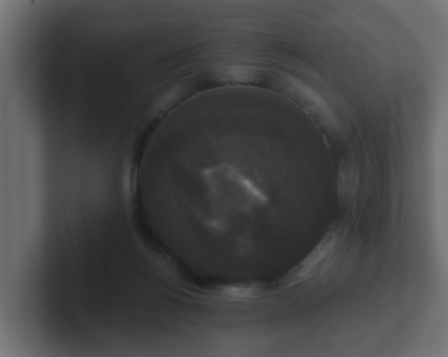 X0000102800168200808251056