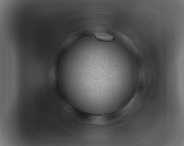 X0000102800170200808251056