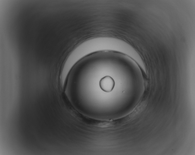 X0000102800172200808251056