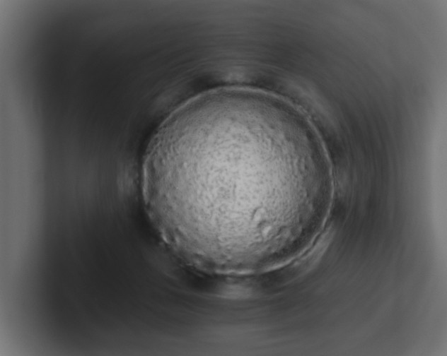 X0000102800175200808251056