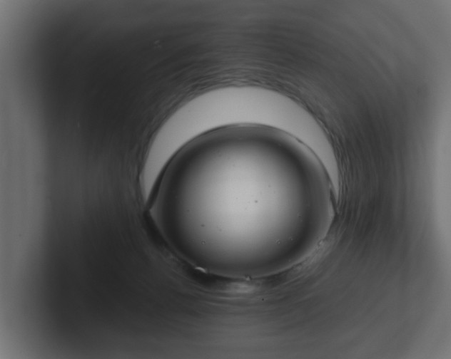 X0000102800176200808251056