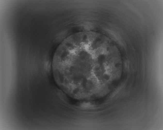 X0000102800177200808251056