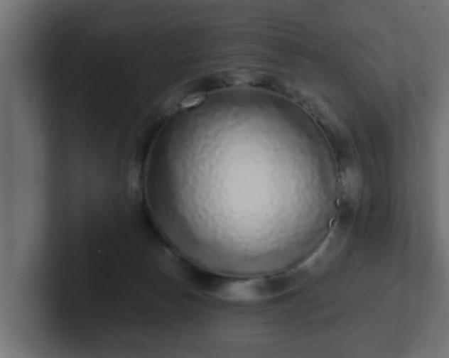 X0000102800178200808251056