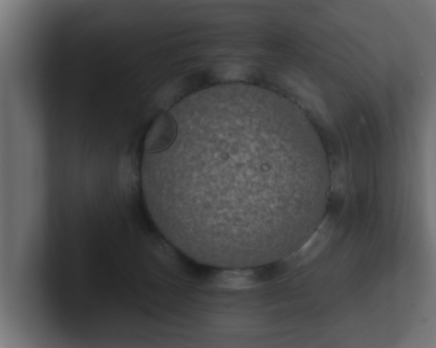 X0000102800179200808251056