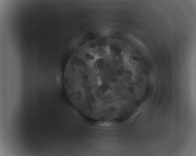 X0000102800181200808251056