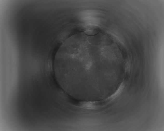 X0000102800182200808251056