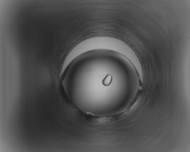 X0000102800184200808251056