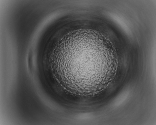 X0000102800189200808251056