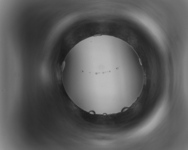 X0000102800190200808251056